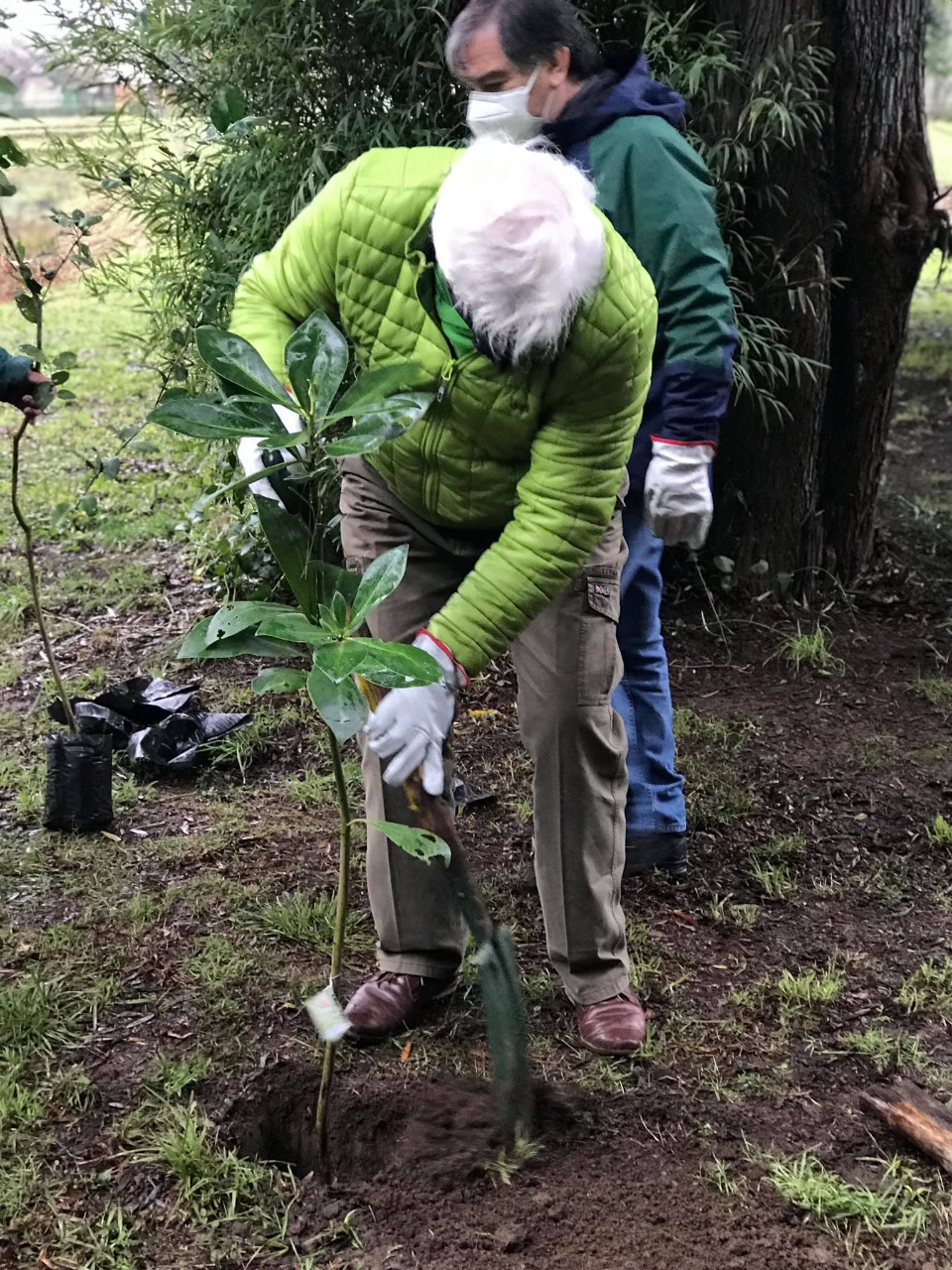 Dia-del-Arbol-2